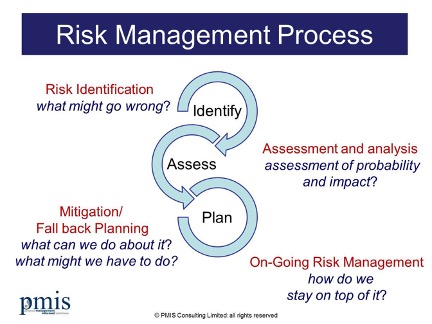 Risk Management Process from pmis